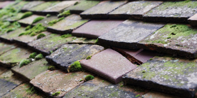 Bodiam roof repair costs